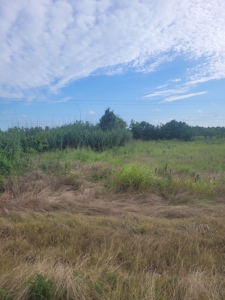 Farm, Recreational, or Pasture Land For Sale Deport TX, NE TX - image 26