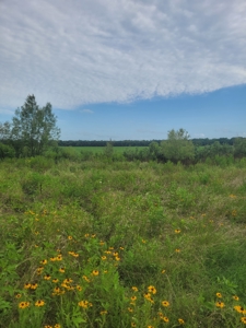 Farm, Recreational, or Pasture Land For Sale Deport TX, NE TX - image 4