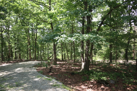 Country Home & Acreage For Sale Near Salem Arkansas - image 28
