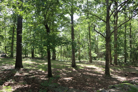 Country Home & Acreage For Sale Near Salem Arkansas - image 29