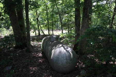 Country Home & Acreage For Sale Near Salem Arkansas - image 30
