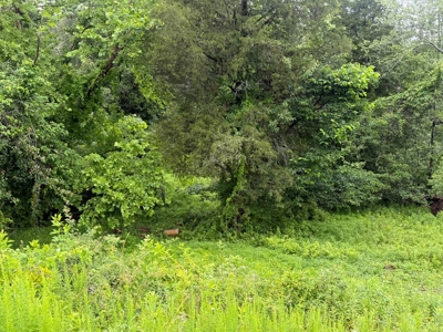 High-Visibility Commercial Land on US 29 in Greene County, VA - image 8