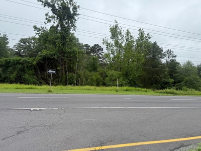 High-Visibility Commercial Land on US 29 in Greene County, VA - image 2