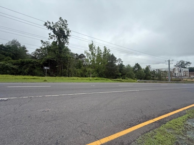 High-Visibility Commercial Land on US 29 in Greene County, VA - image 1
