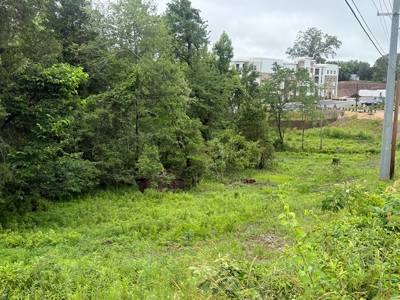 High-Visibility Commercial Land on US 29 in Greene County, VA - image 9