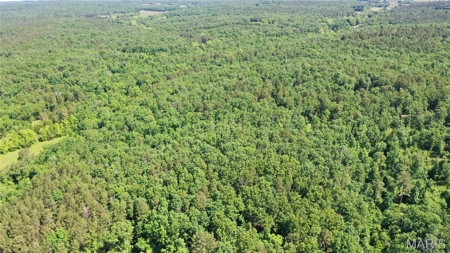 Land for Sale in Salem, Missouri - Parcel A - image 7