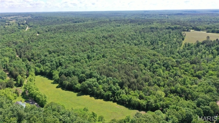 Land for Sale in Salem, Missouri - Parcel A - image 1