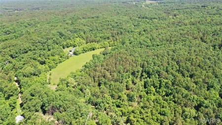 Land for Sale in Salem, Missouri - Parcel A - image 2