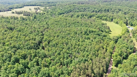 Land for Sale in Salem, Missouri - Parcel A - image 5