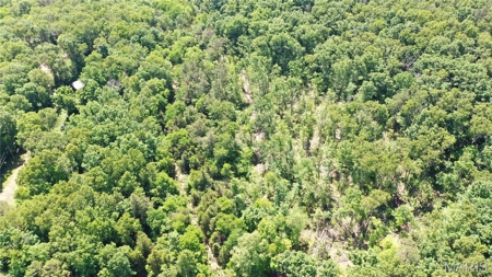Land for Sale in Salem, Missouri - Parcel A - image 6