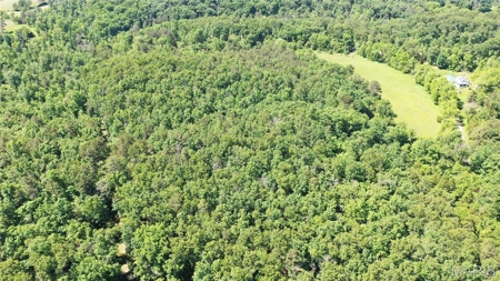 Land for Sale in Salem, Missouri - Parcel A - image 4