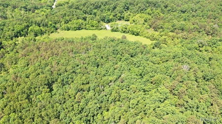 Land for Sale in Salem, Missouri - Parcel A - image 3