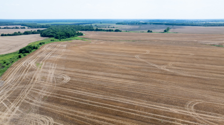 Premier Investment-Grade Row Crop Farm in Red River County TX - image 11