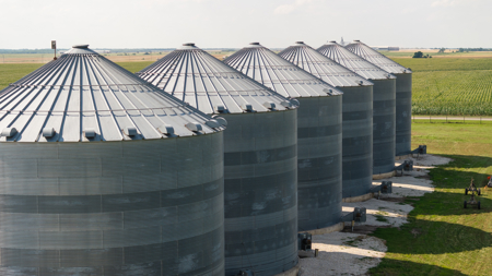 Premier Investment-Grade Row Crop Farm in Red River County TX - image 22