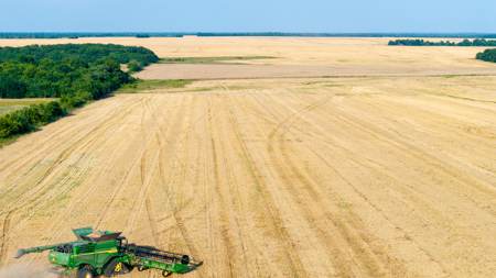 Premier Investment-Grade Row Crop Farm in Red River County TX - image 47