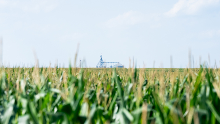 Premier Investment-Grade Row Crop Farm in Red River County TX - image 31
