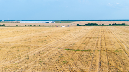 Premier Investment-Grade Row Crop Farm in Red River County TX - image 48