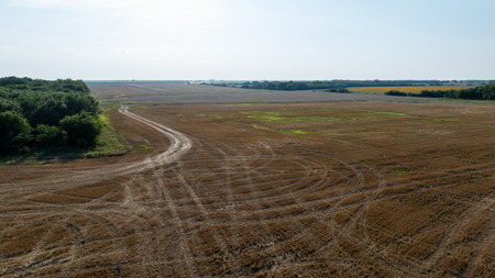 Premier Investment-Grade Row Crop Farm in Red River County TX - image 45