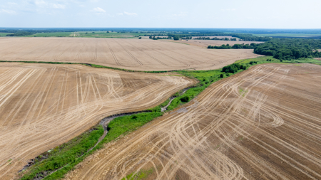Premier Investment-Grade Row Crop Farm in Red River County TX - image 10