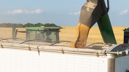 Premier Investment-Grade Row Crop Farm in Red River County TX - image 42