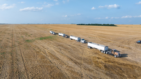 Premier Investment-Grade Row Crop Farm in Red River County TX - image 41