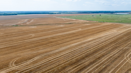 Premier Investment-Grade Row Crop Farm in Red River County TX - image 12