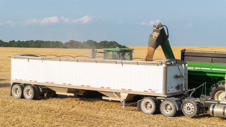 Premier Investment-Grade Row Crop Farm in Red River County TX - image 43