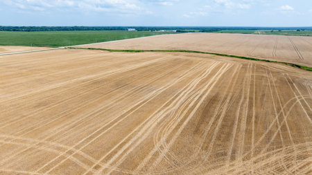 Premier Investment-Grade Row Crop Farm in Red River County TX - image 7