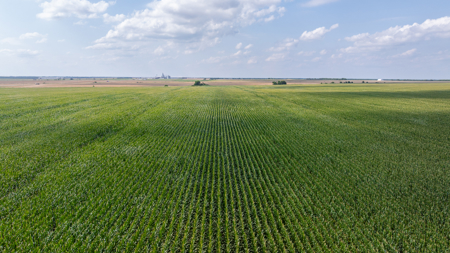 Premier Investment-Grade Row Crop Farm in Red River County TX - image 29