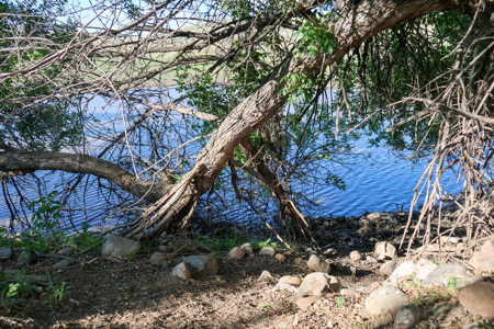 Golden Triangle Farm & Ranch | 2,278 Acres - image 24