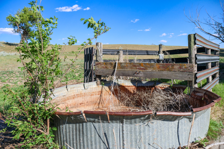 Golden Triangle Farm & Ranch | 2,278 Acres - image 29