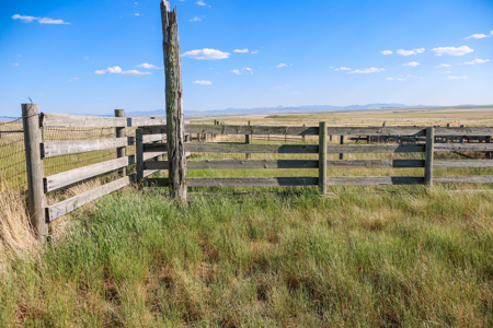 Golden Triangle Farm & Ranch | 2,278 Acres - image 16