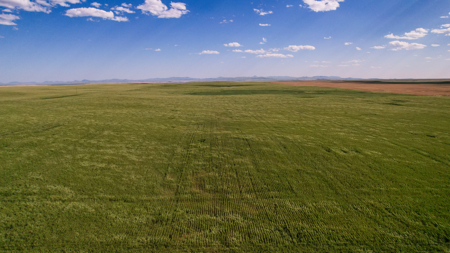Golden Triangle Farm & Ranch | 2,278 Acres - image 33