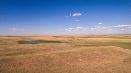 Golden Triangle Farm & Ranch | 2,278 Acres - image 48