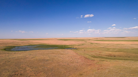Golden Triangle Farm & Ranch | 2,278 Acres - image 42