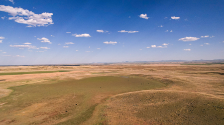 Golden Triangle Farm & Ranch | 2,278 Acres - image 41