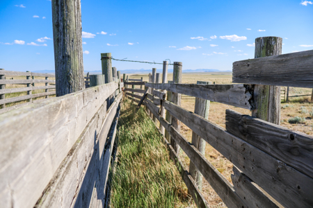 Golden Triangle Farm & Ranch | 2,278 Acres - image 18