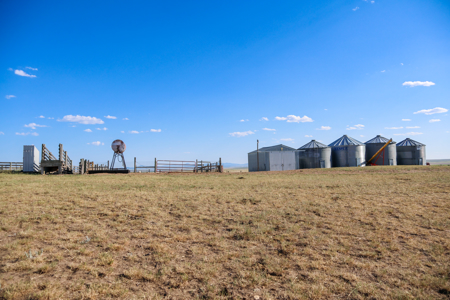 Golden Triangle Farm & Ranch | 2,278 Acres - image 6