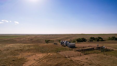 Golden Triangle Farm & Ranch | 2,278 Acres - image 43