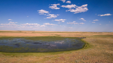 Golden Triangle Farm & Ranch | 2,278 Acres - image 40