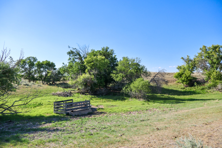 Golden Triangle Farm & Ranch | 2,278 Acres - image 31