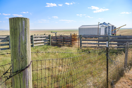 Golden Triangle Farm & Ranch | 2,278 Acres - image 14