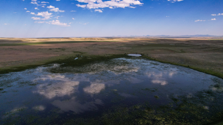 Golden Triangle Farm & Ranch | 2,278 Acres - image 4