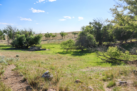 Golden Triangle Farm & Ranch | 2,278 Acres - image 22