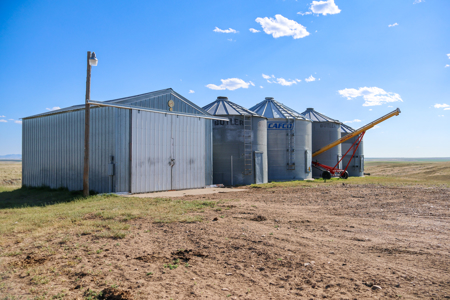 Golden Triangle Farm & Ranch | 2,278 Acres - image 8