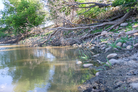 Golden Triangle Farm & Ranch | 2,278 Acres - image 26