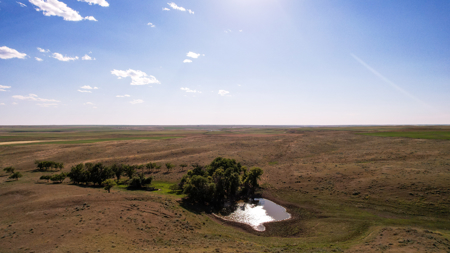 Golden Triangle Farm & Ranch | 2,278 Acres - image 39