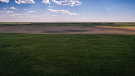 Golden Triangle Farm & Ranch | 2,278 Acres - image 34