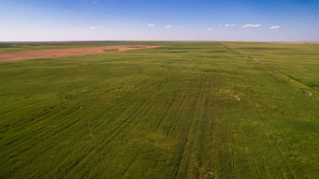 Golden Triangle Farm & Ranch | 2,278 Acres - image 7