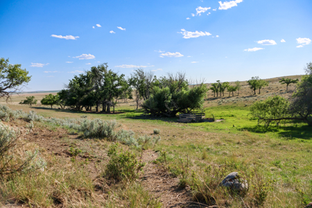 Golden Triangle Farm & Ranch | 2,278 Acres - image 23